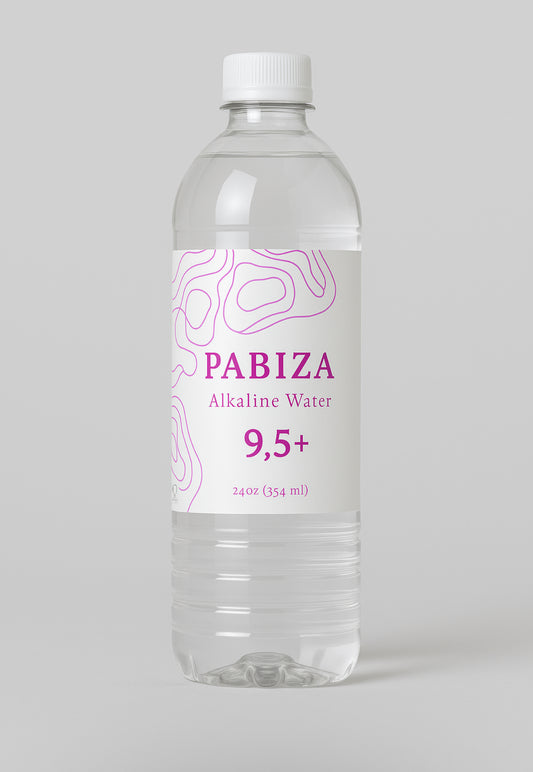 Alkaline Water 9.5PH 24oz. (Pack 15)